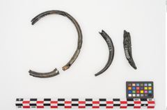 Foto von Bronzehohlblecharmring (NHMW-PRAE-024059)
